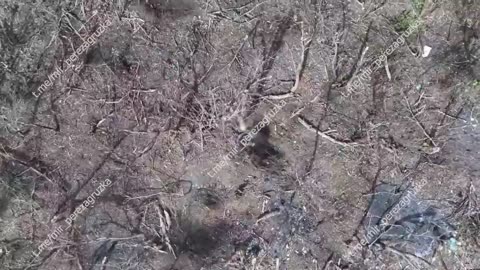 Ukraine war combat footage 8/15/25