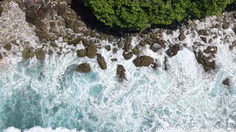 Moonlit Chill – Night Study Lofi