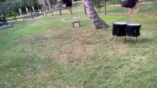 😂🤣 You Won't Believe This Genius Cover! | FunFM