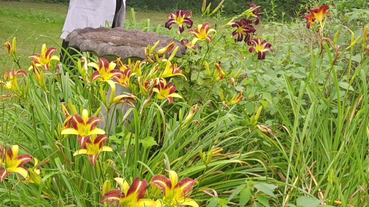 A Fuente Reserva cigar.