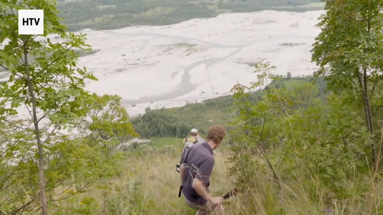 Predator Instincts vs. Prey Strategy