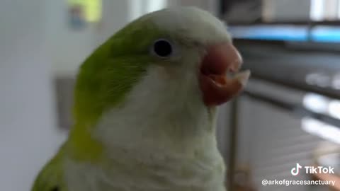 Morty is having a great day!