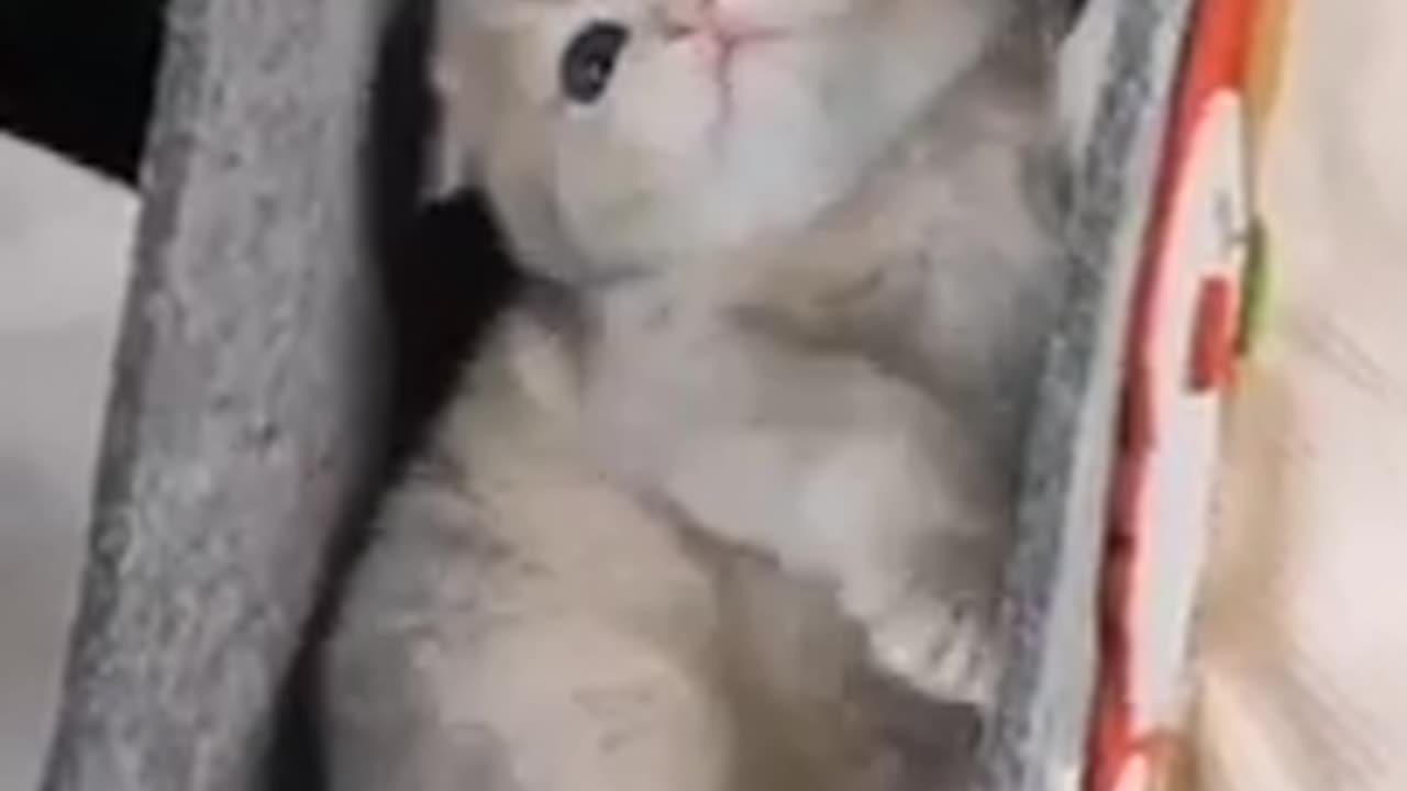 TRY NOT TO LAUGH 😆 Best Funny Videos Compilation 😂😁😆 Memes.