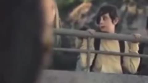 Even The Gorillas