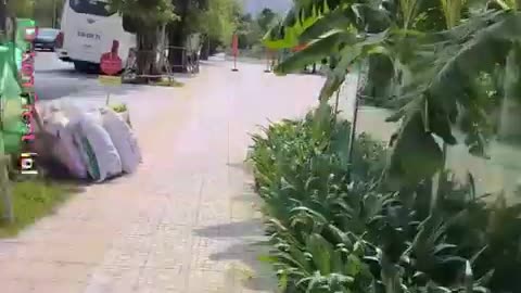 fatty demon pig - 2025 - YT - April 18th - PHU QUOC