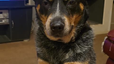 Pay Attention to Me!!!!