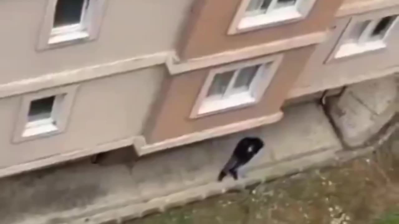 Takimi romantik për pak kthehet në tragjedi, çifti hidhet nga kati i tretë i pallatit