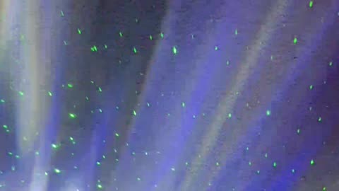 ✨Bonus Stream 💿💫