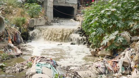 RFK Jr has been a champion for our health and wellness for decades.