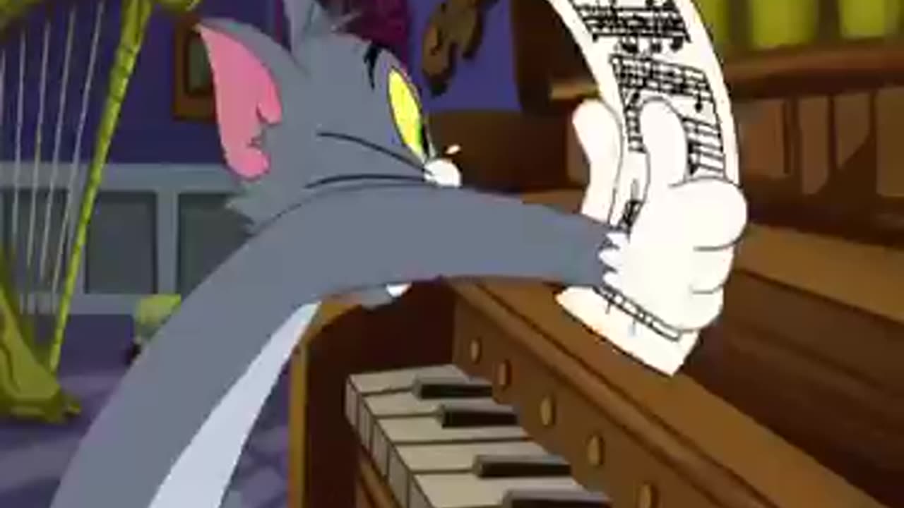 Tom and jarry funny vidieo