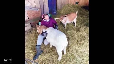 #funnyvideo #fun #entertainment