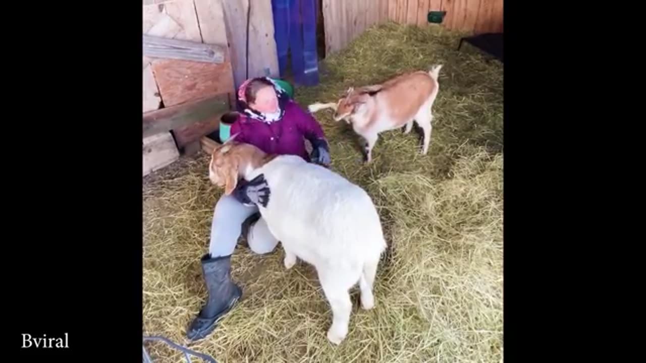 #funnyvideo #fun #entertainment