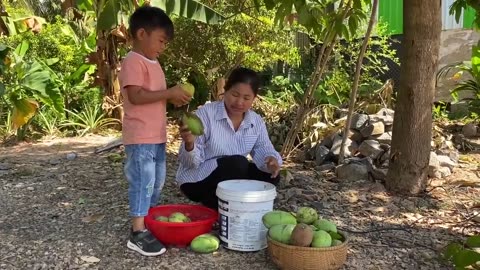 Seyhak like to eat ripe mango - Harvesting mangoes at home - Prepare food for family