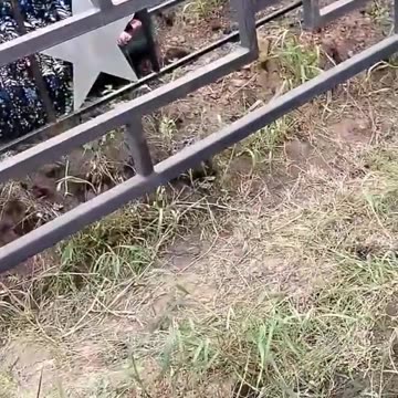 Locals Complain About Running Out of Space in Cemeteries