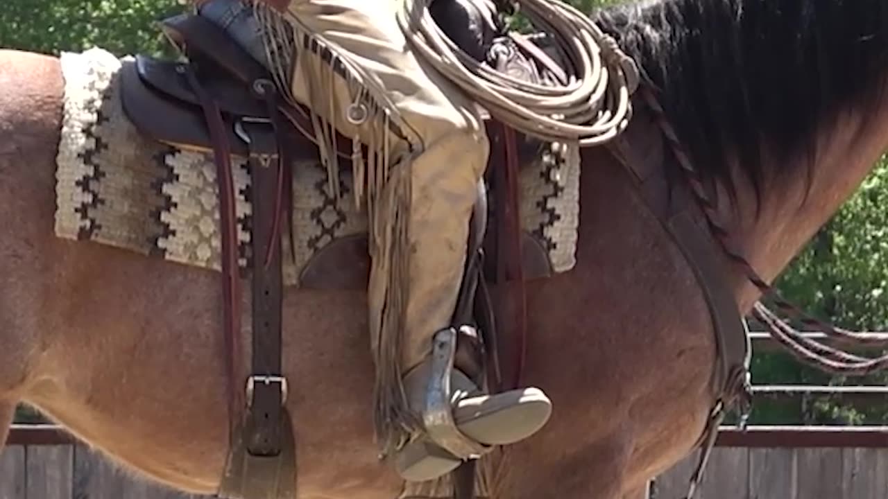 The fundamentals of neck reining.