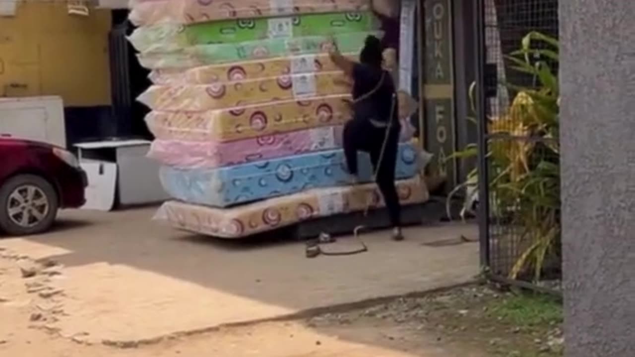 😱 Watch People Freak Out Over This Snake Prank! 🐍