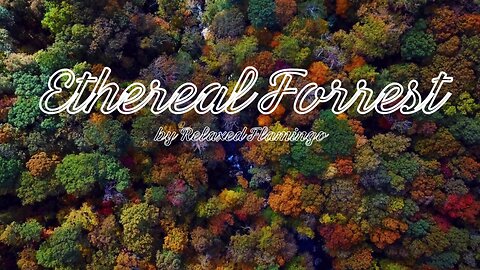 Ethereal Forrest 🌲✨ | Dreamy Instrumental Music for Relaxation & Inspiration