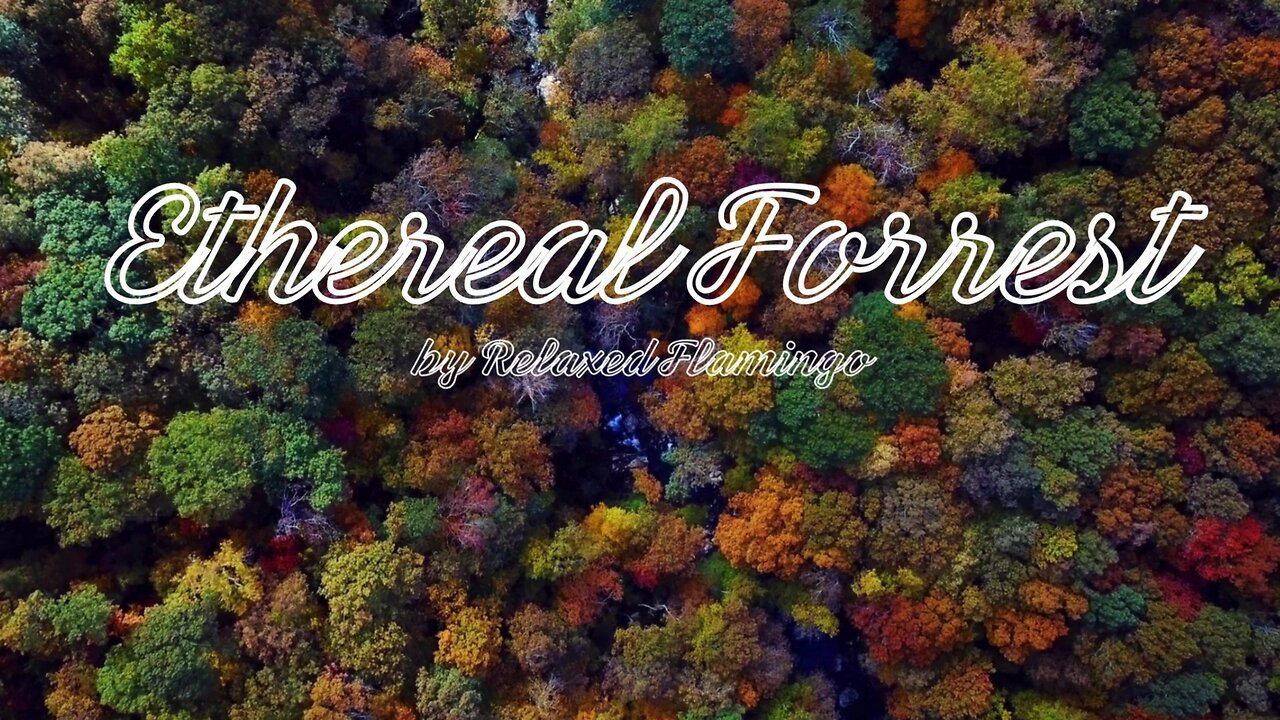 Ethereal Forrest 🌲✨ | Dreamy Instrumental Music for Relaxation & Inspiration