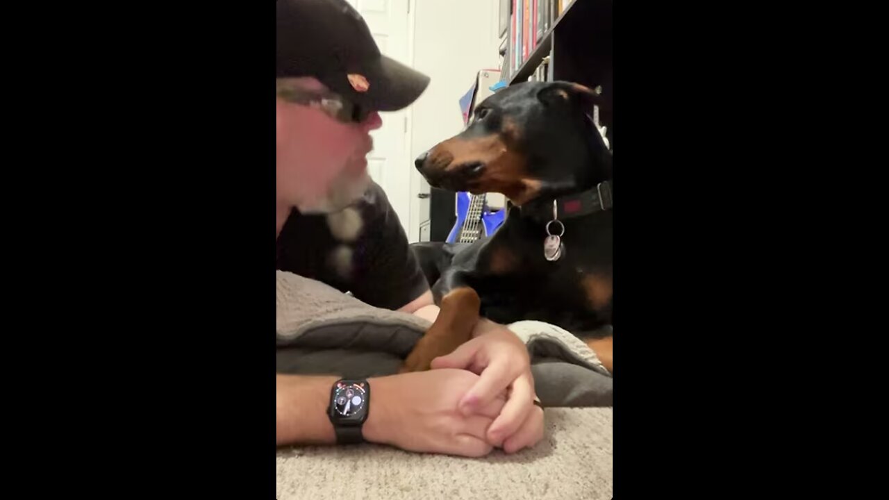 Behind The Scenes With My Doberman | "Energy-Saving Mode" Outtakes...🤣🐾(We Tried)