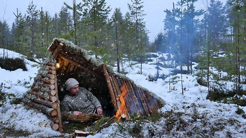 2 Nights in Cold Winter: Building a Survival Shelter [Bushcraft]