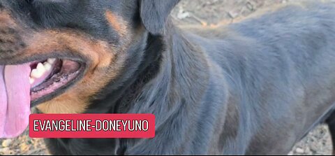 Evangeline-Doneyuno