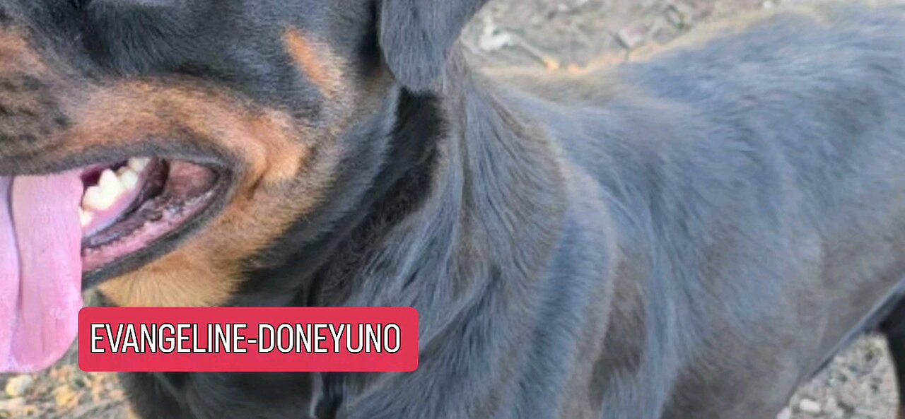 Evangeline-Doneyuno