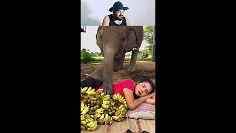trynottolaugh part 132