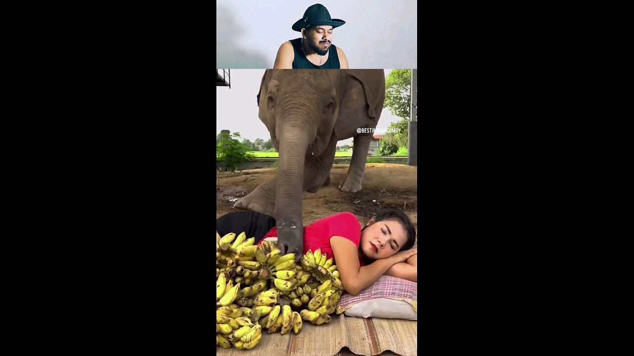 trynottolaugh part 132