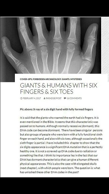 Morals and Dogma - The Brotherhood,Has Many Secrets