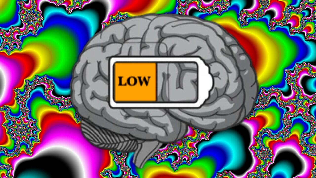 Are Black Americans Low IQ #2