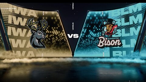 Bison are BACK!