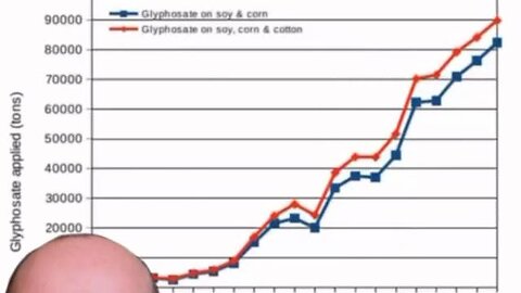 Data from the united states - GMO CROPS - DISEASES SKY ROCKET - GENOCIDE