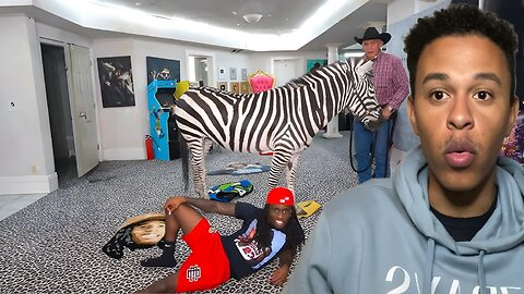 Terry Simmons Reacts To Kai Cenat Brings A Real Zebra in His Room on Stream!