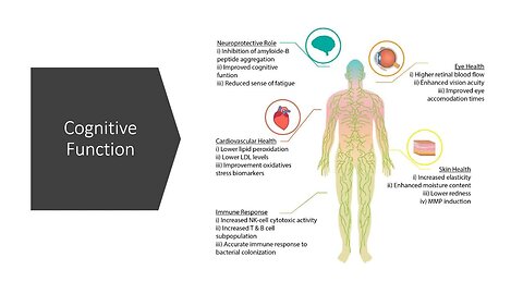 "Discover Astaxanthin: The Most Potent Antioxidant in Mother Nature's Arsenal"