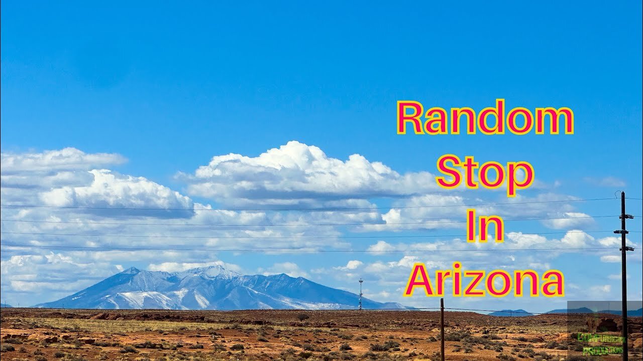 Road Trip Adventures: Unexpected Delights at a Random Stop in Arizona