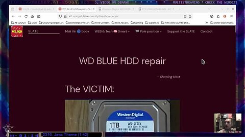 INTRO: "Western Digital WD10EZEX HDD Repair" stream
