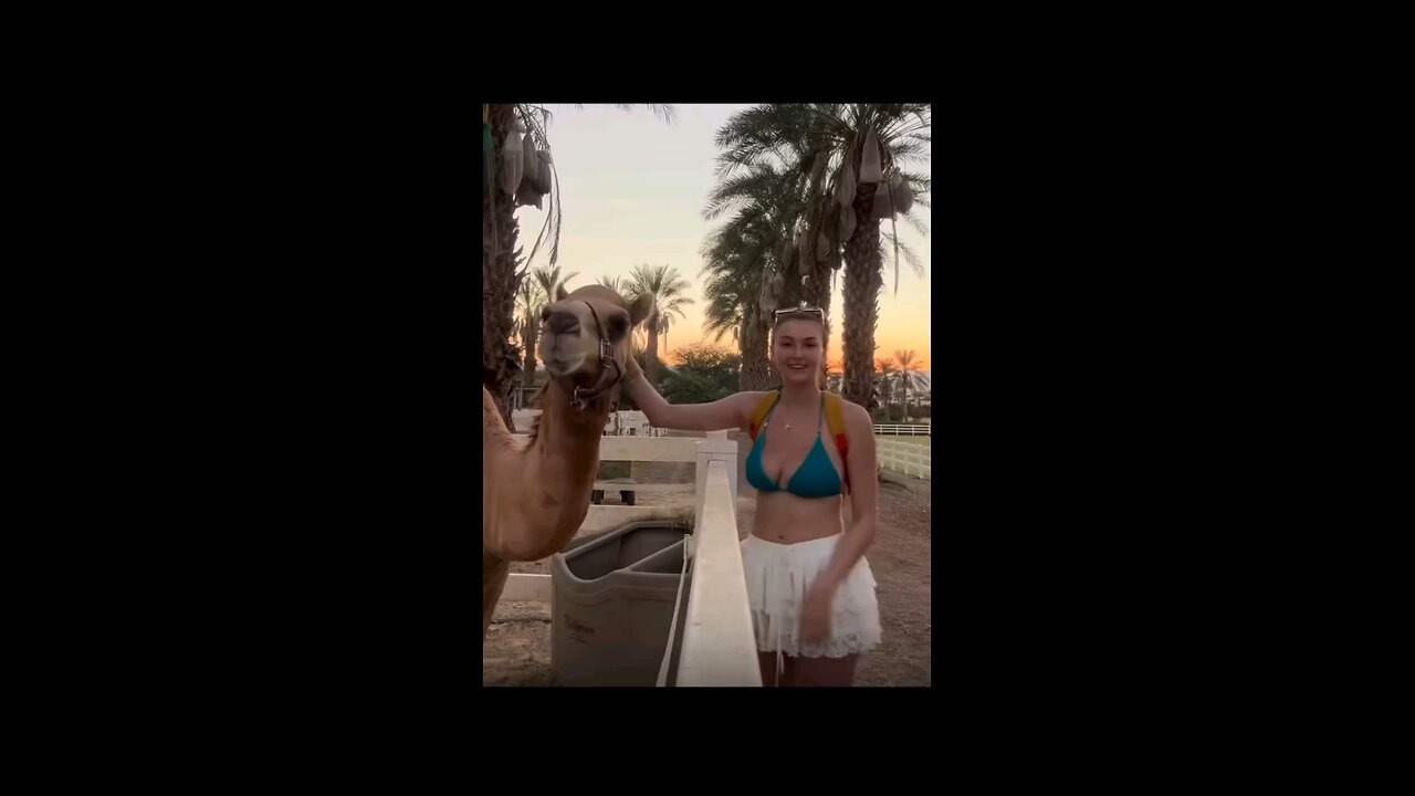 Zindagi Ke Asli Maze To Ye Le Rha hai😍😍