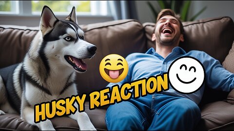 Farting Prank On My Talking Husky!