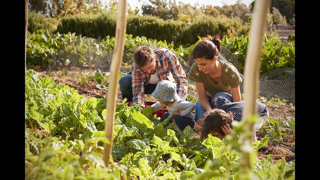 With The Attacks On Our Food Supply, Many Are Returning To The Old Paths