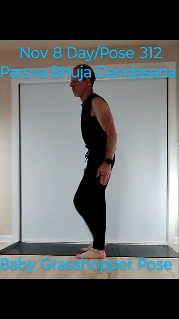 Parsva Bhuja Dandasana / Baby Grasshopper Pose