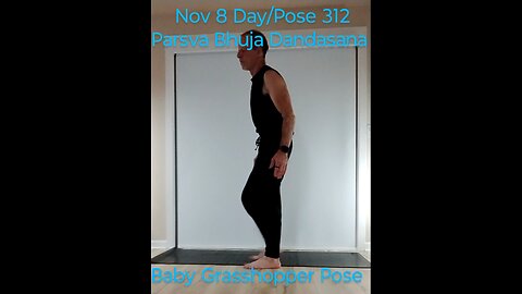 Parsva Bhuja Dandasana / Baby Grasshopper Pose