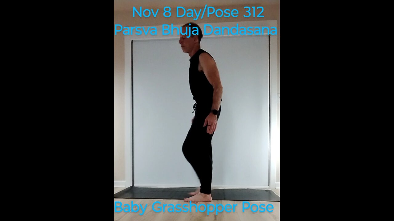 Parsva Bhuja Dandasana / Baby Grasshopper Pose