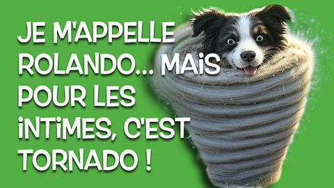 Mon chiot est devenu un ado ingérable… et si c’était normal?