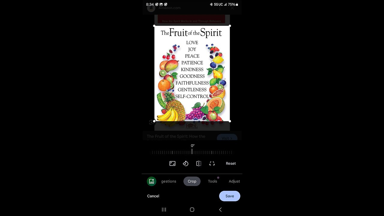 Fruit of the Spirit