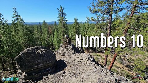 Numbers 10, Bible Reading in Nature, BSB