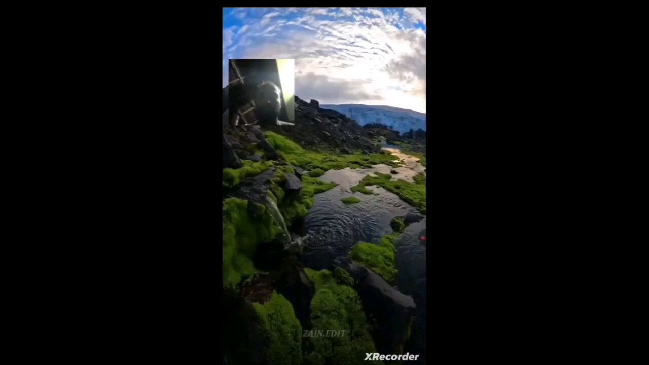 Reaction video