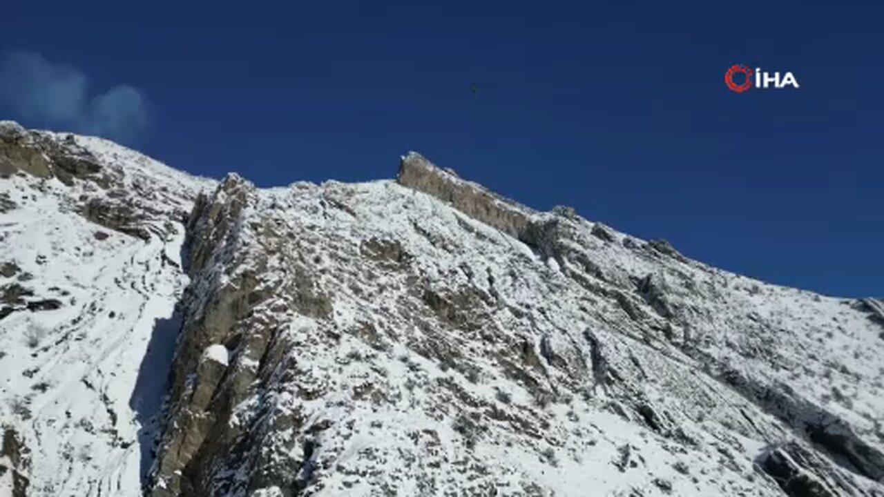 Erzurum’da sakallı akbaba dron ile görüntülendi