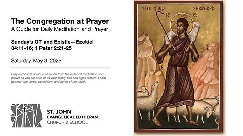 Sunday’s OT and Epistle—Ezekiel 34:11-16; 1 Peter 2:21-25