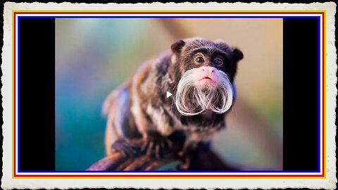 NEW STUDY - DOPE MAKES YOU STUPID, LAZY PARANOID