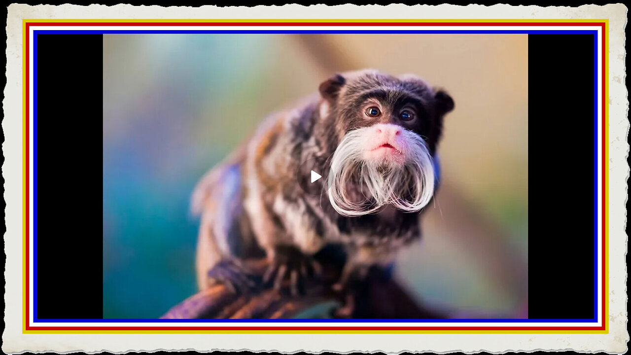 NEW STUDY - DOPE MAKES YOU STUPID, LAZY PARANOID